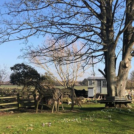 The Shepherd'S Hut @ Chichester Cottage Εξωτερικό φωτογραφία
