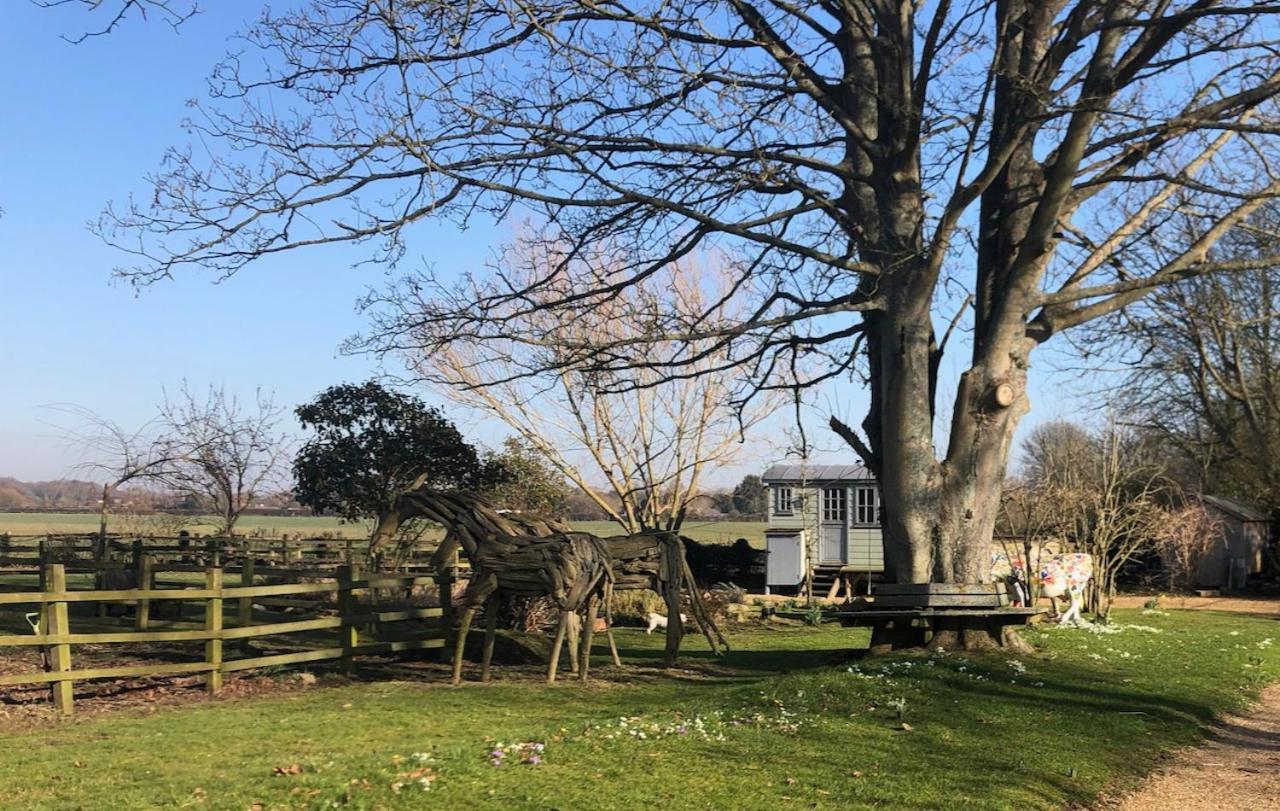 The Shepherd'S Hut @ Chichester Cottage Εξωτερικό φωτογραφία